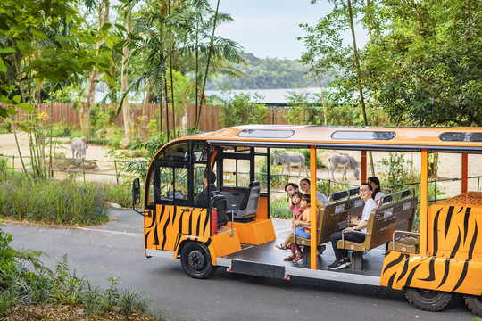 シンガポール誕生日特典！無料動物園＋ズートピア巡り | Trip.com