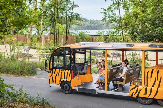 Singapore Zoo