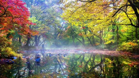 Yunpudongtian Tourist Area attraction in Linyi