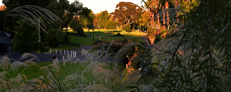 Alexandra Gardens