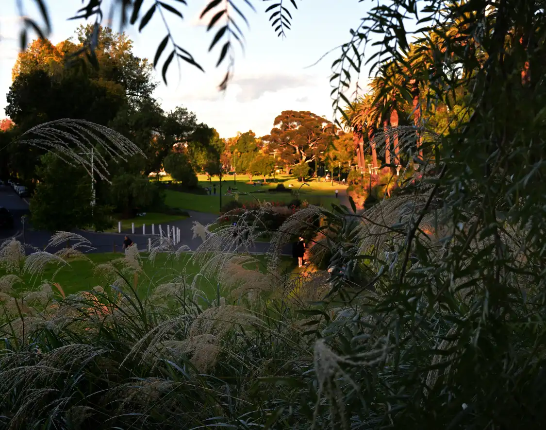 Hotels near Alexandra Gardens