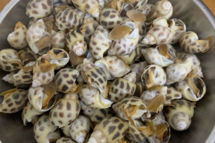 霞湧市場海鮮擺賣市場