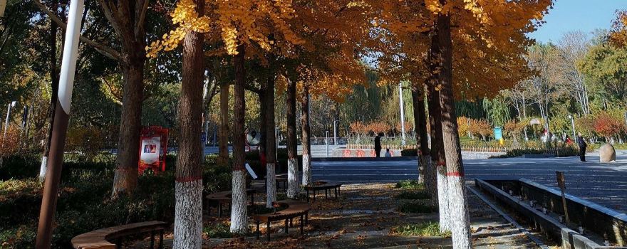 伯雍公園