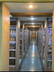 Nanjing Shifan Daxue Xianlin Xiaoqu Library