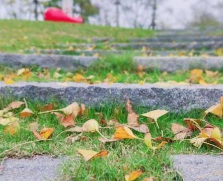 Donghu Ecological Tourism Scenic Area - Baimazhoutou