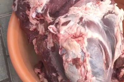 盛洋牛羊肉泡馍