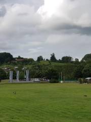 Parque chuyaca, Museo Al Aire Libre Pleistoceno en La Zona De Pilauco