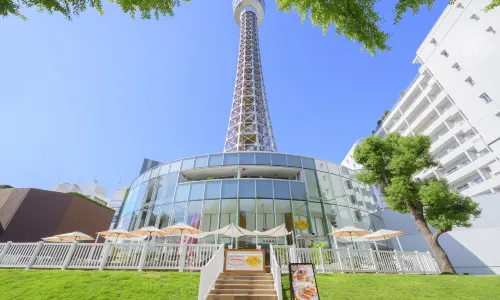 Tour marine de Yokohama