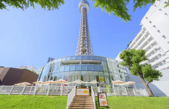 橫濱海洋塔夜間門票成人