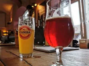 Tap-House