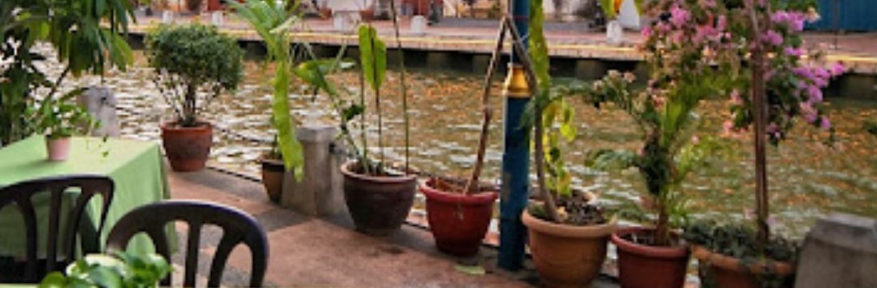 Wild Coriander Melaka