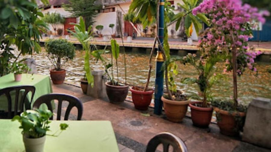 Wild Coriander Melaka