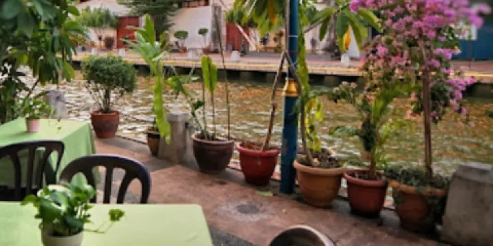 Wild Coriander Melaka