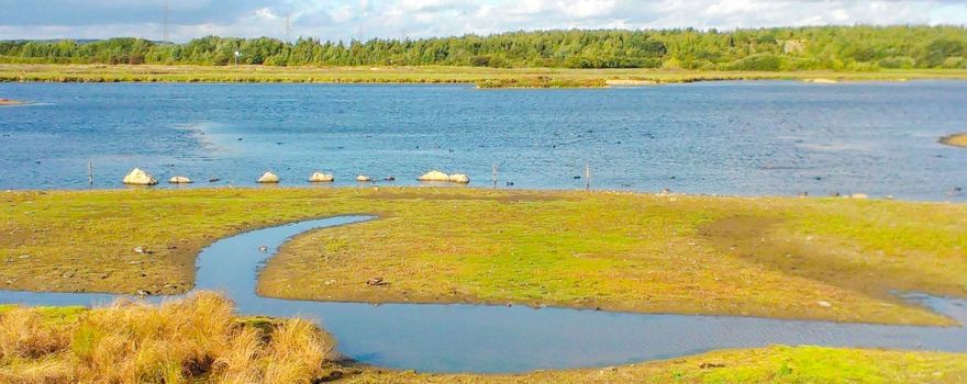 RSPB Dearne Valley - Old Moor