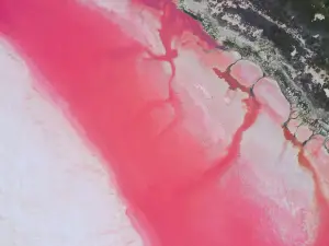 Pink Lake