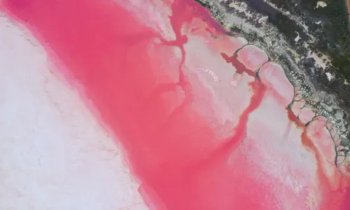 Pink Lake