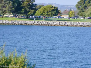 Marina Park