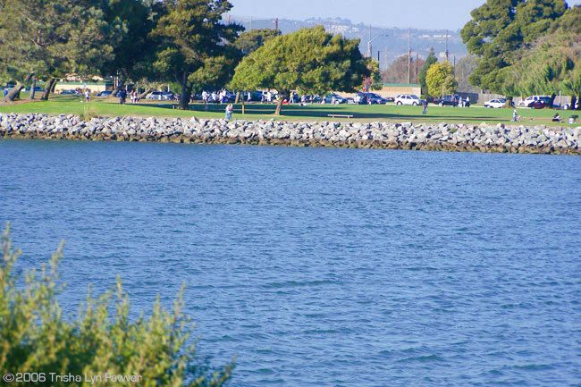 Marina Park