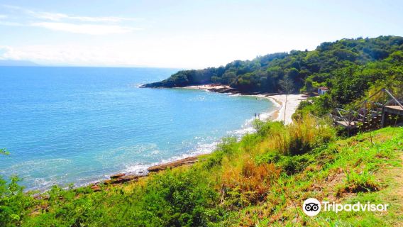 Praia Azeda