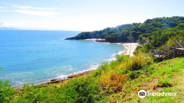 Praia Azeda