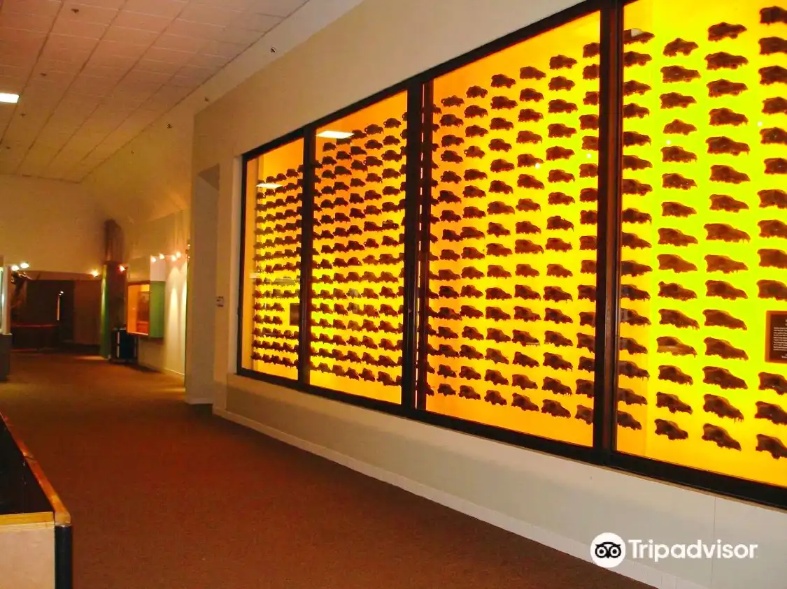 โรงแรมใกล้La Brea Tar Pits and Museum