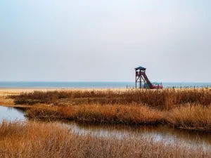 日照海濱國家森林公園