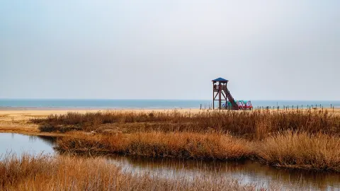 日照海濱國家森林公園 attraction in 日照