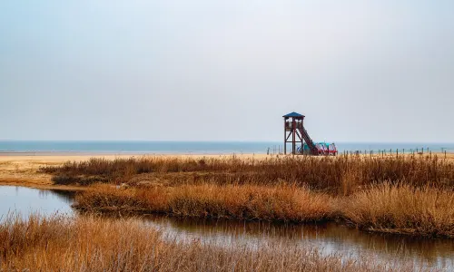 Rizhao Coastal National Forest Park