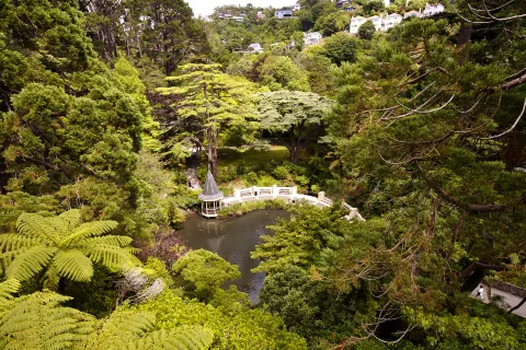 Wellington Botanic Garden