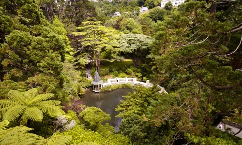 Wellington Botanic Garden