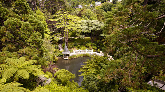 Wellington Botanic Garden