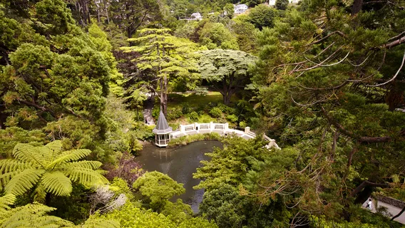 Wellington Botanic Garden