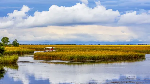 Zhalong Ecotourism Area attraction in Heilongjiang