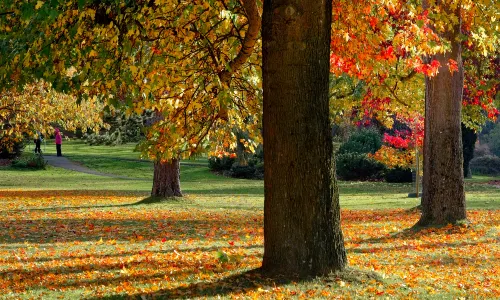 Parco del faro