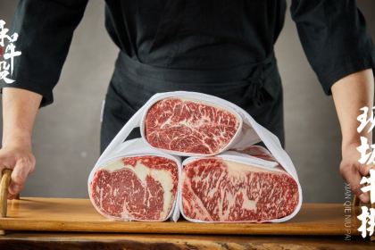 WAGYU PALACE YAKINIKU