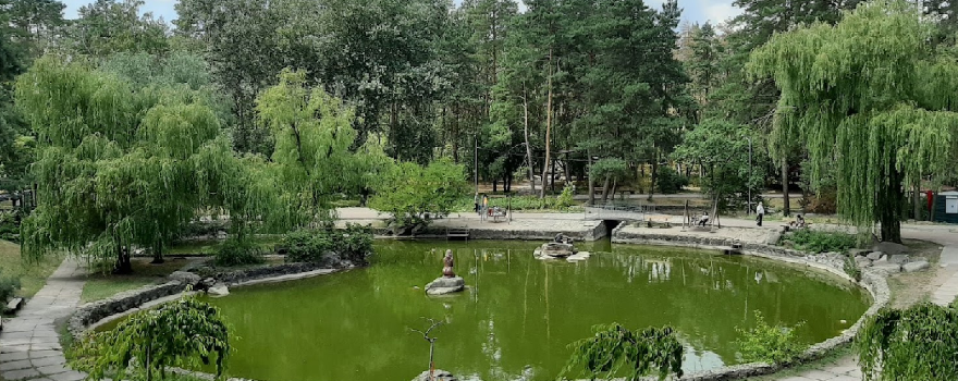 Pine Forest Park