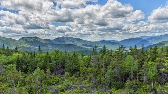 Pemigewasset Overlook