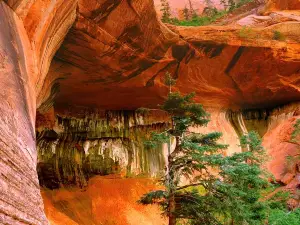 Kolob Canyons