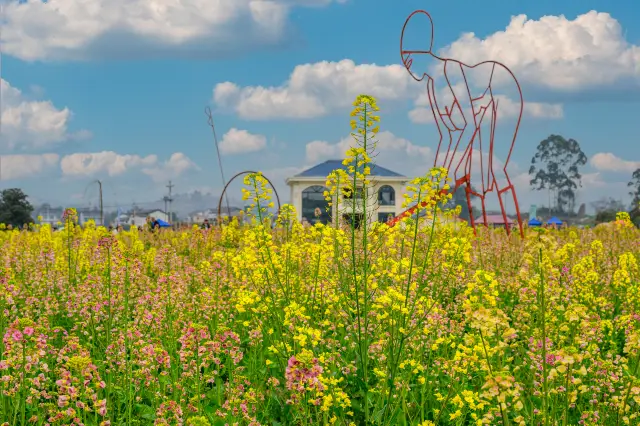 Rapeseed Flower Viewing in Chongqing