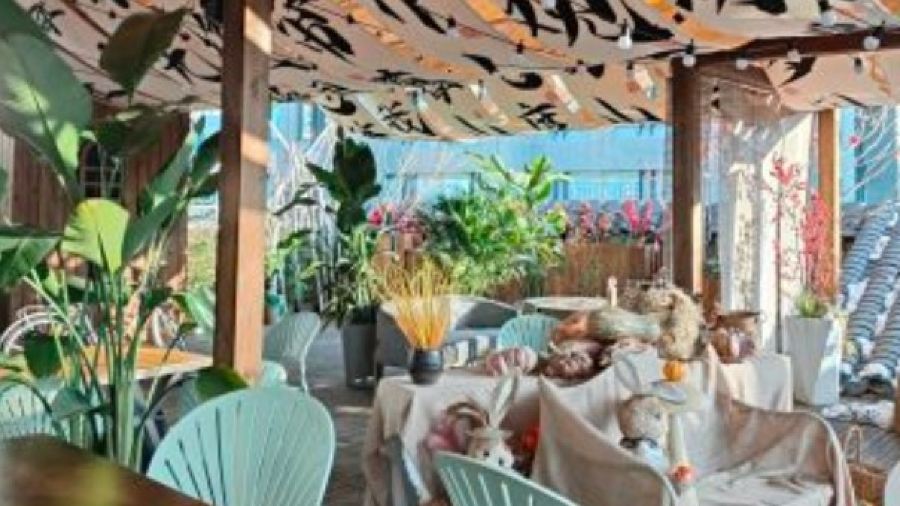 源地·新派云南菜·清真(南强街店)