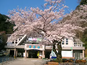 다카오산