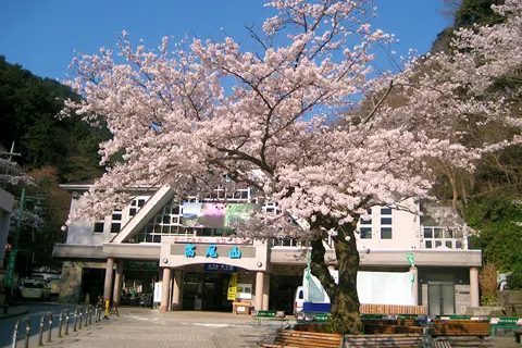 다카오산