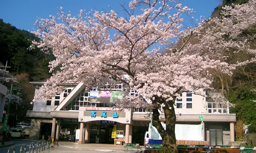 Mount Takao