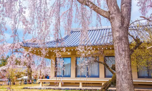 Daigo-ji Temple