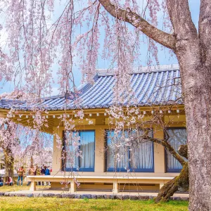 醍醐寺