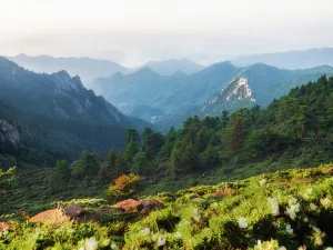 Area panoramica del monte Luya