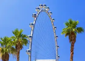 High Roller