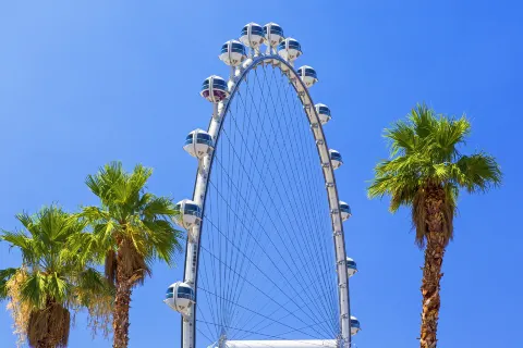High Roller