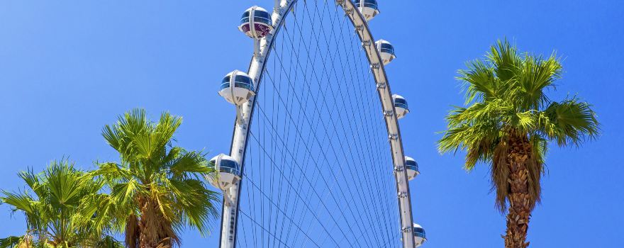 High Roller