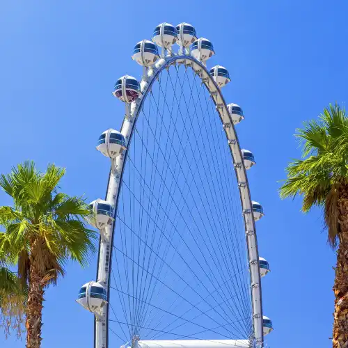 High Roller